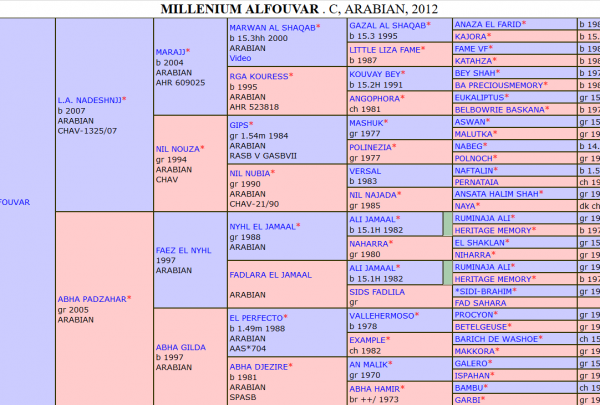 Pedigree Millenium Alfouvar