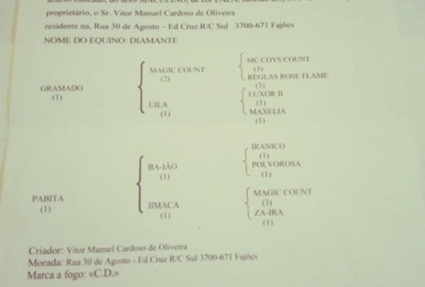 Diamente2