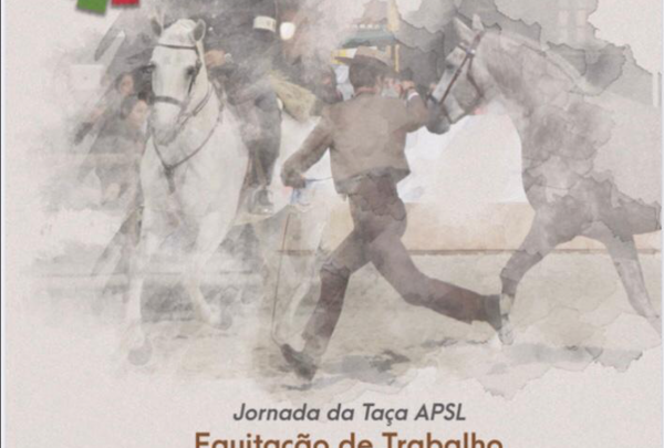 Captura de ecrã 2020-09-11, às 10.22.11